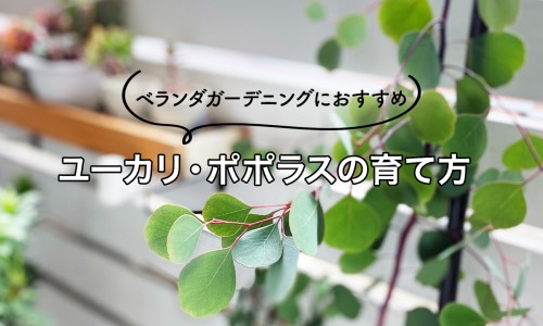 男性脂肪胸-男性脂肪对比网-分享男性脂肪胸怎么减，男性脂肪填充手术知识库